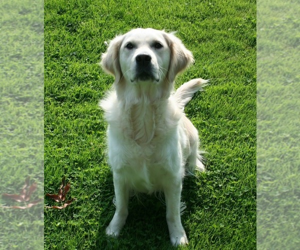 Medium Photo #5  Breeder Profile in MARSHFIELD, WI, USA