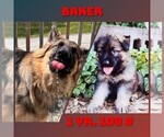 Small #21 Breeder Profile image