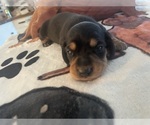 Small #5 Breeder Profile image