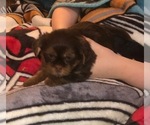 Small #21 Breeder Profile image