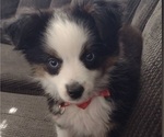 Small #14 Breeder Profile image