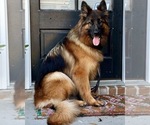 Small #9 Breeder Profile image