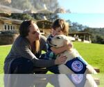 Small #2 Breeder Profile image