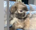 Small #6 Breeder Profile image