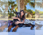 Small #43 Breeder Profile image
