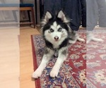 Small #18 Breeder Profile image