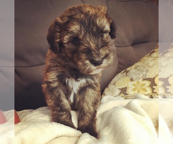 Medium Photo #1  Breeder Profile in APPLE VALLEY, UT, USA