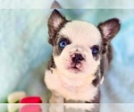 Small #1 Breeder Profile image