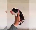 Small #6 Breeder Profile image
