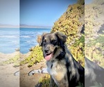 Small #23 Breeder Profile image
