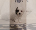 Small #2 Breeder Profile image