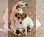 Small #9 Breeder Profile image