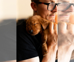 Small #45 Breeder Profile image