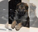 Small Photo #1  Breeder Profile in DEERFIELD, OH, USA