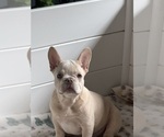 Small #3 Breeder Profile image