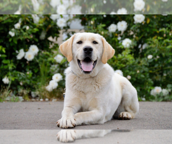 Medium Photo #5  Breeder Profile in NACOGDOCHES, TX, USA