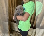 Small #5 Breeder Profile image