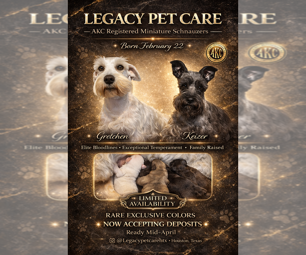 Medium Photo #5  Breeder Profile in HOUSTON, TX, USA