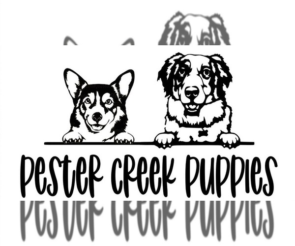 Medium Photo #1  Breeder Profile in AMERICUS, KS, USA