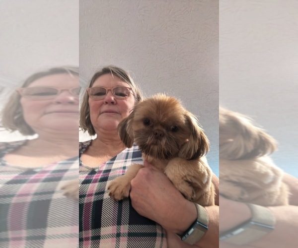 Medium Photo #6  Breeder Profile in COVINGTON, GA, USA