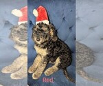 Small #3 Breeder Profile image