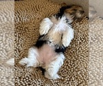 Small #7 Breeder Profile image