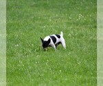 Small #8 Breeder Profile image