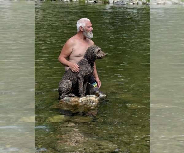 Medium Photo #5  Breeder Profile in DEER PARK, WA, USA