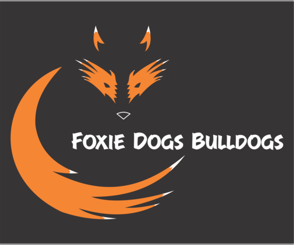Medium Photo #1  Breeder Profile in QUEEN CREEK, AZ, USA