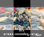 Small #8 Breeder Profile image