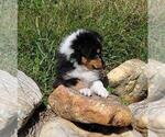 Small #1 Breeder Profile image