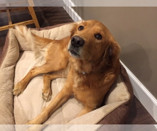 Medium Photo #1  Breeder Profile in FRAZEE, MN, USA