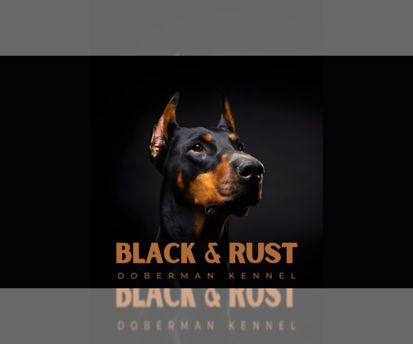 Medium Photo #1  Breeder Profile in CAVE CITY, KY, USA