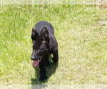 Small #8 Breeder Profile image