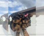 Small #14 Breeder Profile image