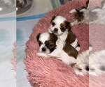 Small #10 Breeder Profile image