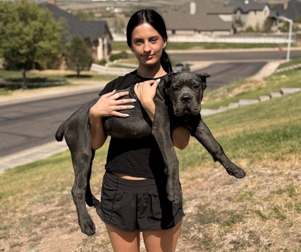 Medium Photo #3  Breeder Profile in AMARILLO, TX, USA