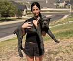 Small #2 Breeder Profile image