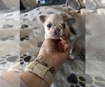 Small #11 Breeder Profile image