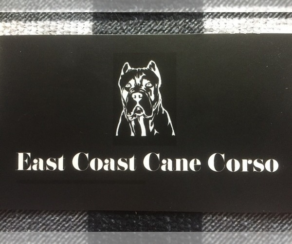 Medium Photo #1  Breeder Profile in WINNABOW, NC, USA