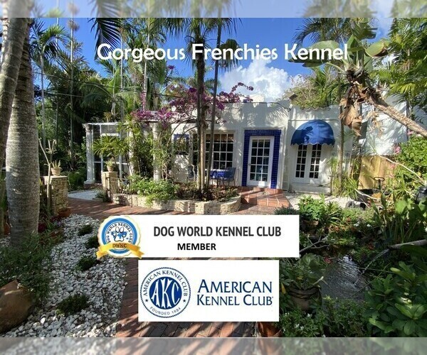 Medium Photo #1  Breeder Profile in MIAMI, FL, USA