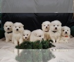 Small #2 Breeder Profile image