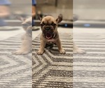 Small #12 Breeder Profile image
