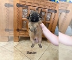 Small #67 Breeder Profile image
