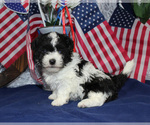 Small #33 Breeder Profile image