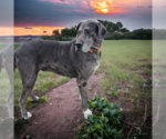 Small #7 Breeder Profile image