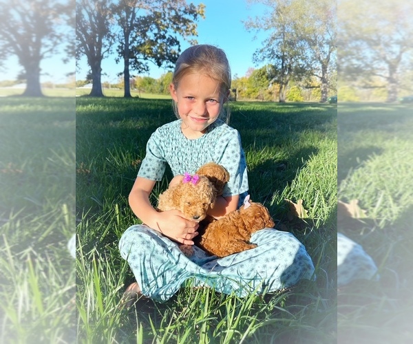 Medium Photo #1  Breeder Profile in VERSAILLES, MO, USA