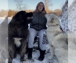 Small #1 Breeder Profile image