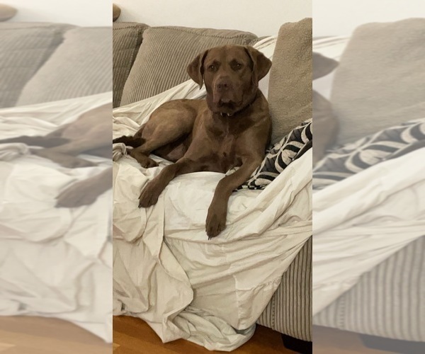 Medium Photo #3  Breeder Profile in FLOYD, VA, USA