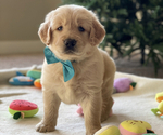 Small #2 Breeder Profile image